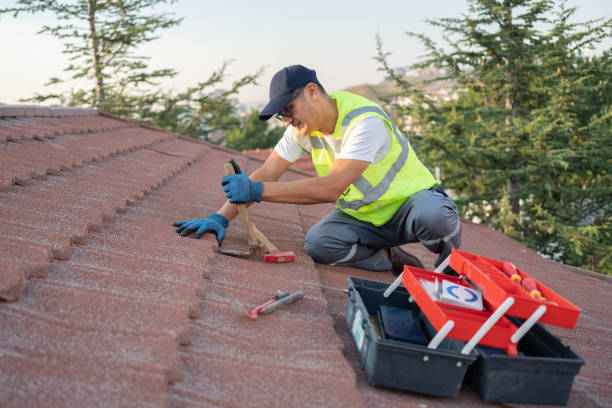 Best Roof Gutter Cleaning  in Memphis, TX