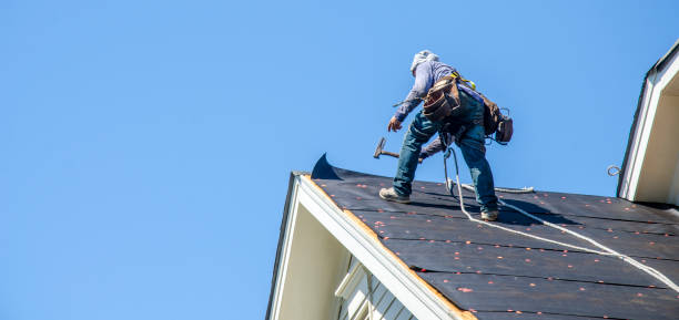 Best Roof Repair Services  in Memphis, TX